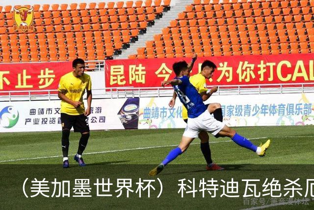 （美加墨世界杯）科特迪瓦绝杀厄瓜多尔 瑞典5:1大胜突尼斯